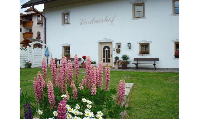 Lindnerhof Urlaub Am Bauernhof Hotel San Lorenzo di Sebato Exterior foto
